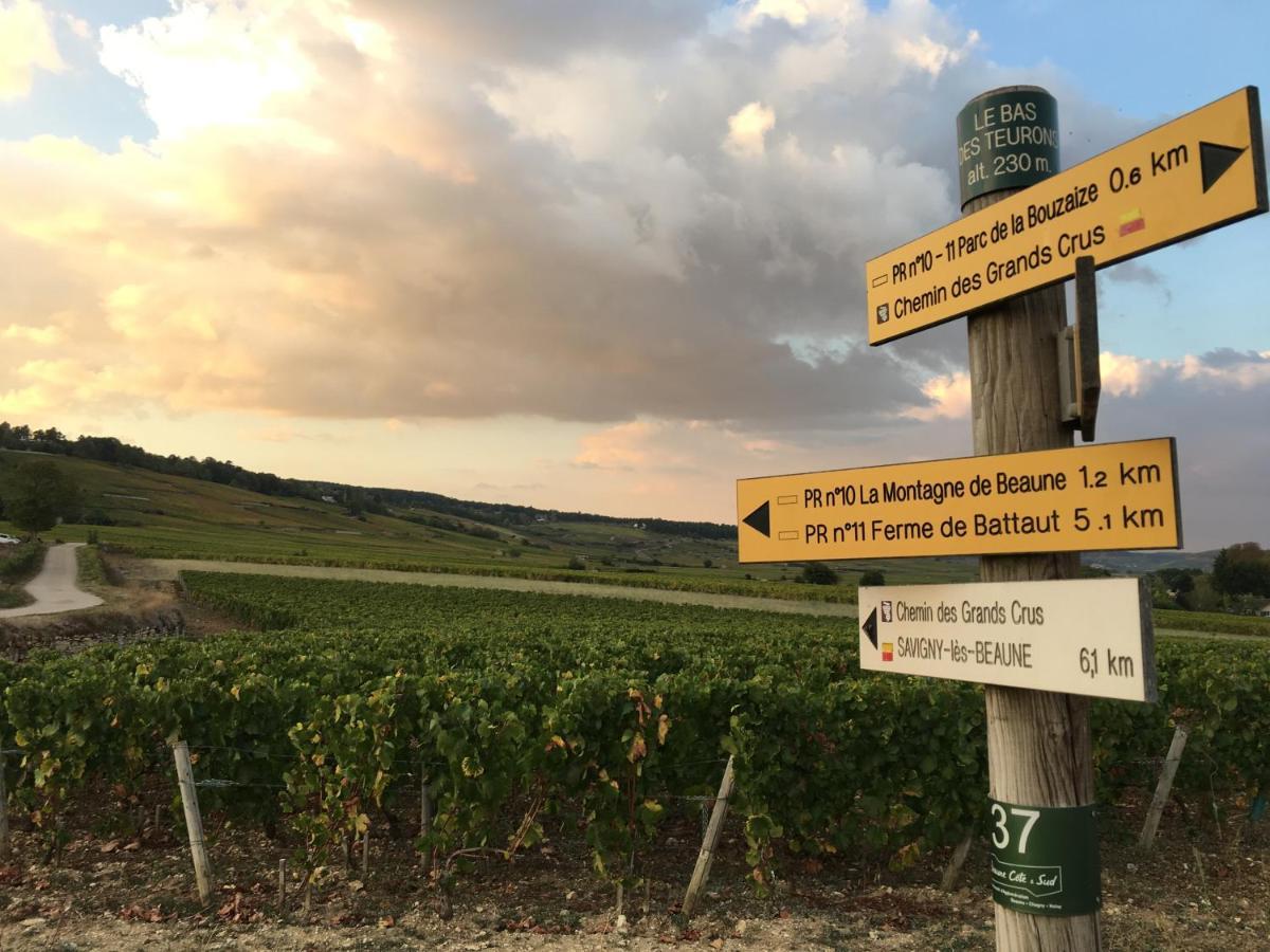 Le Gite De Tassigny Meursault Bagian luar foto