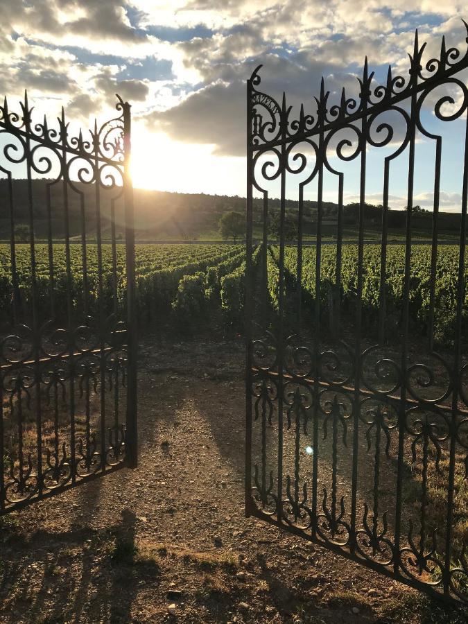 Le Gite De Tassigny Meursault Bagian luar foto